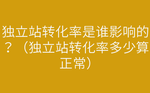 獨立站轉(zhuǎn)化率是誰影響的？（獨立站轉(zhuǎn)化率多少算正常）